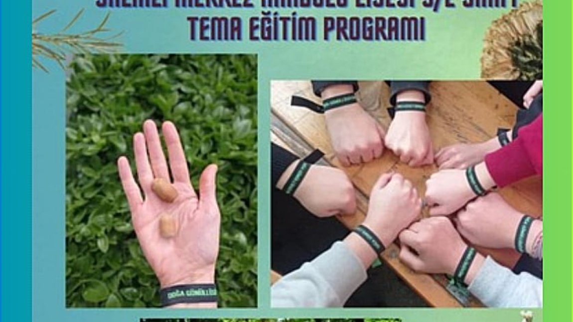 Tema Vakfı Eğitim Programı